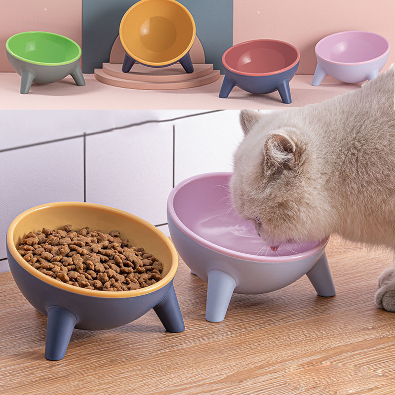 Elevated Pet Bowl with Stand - Raised Feeding Station for Dogs, Cats & Small Pets